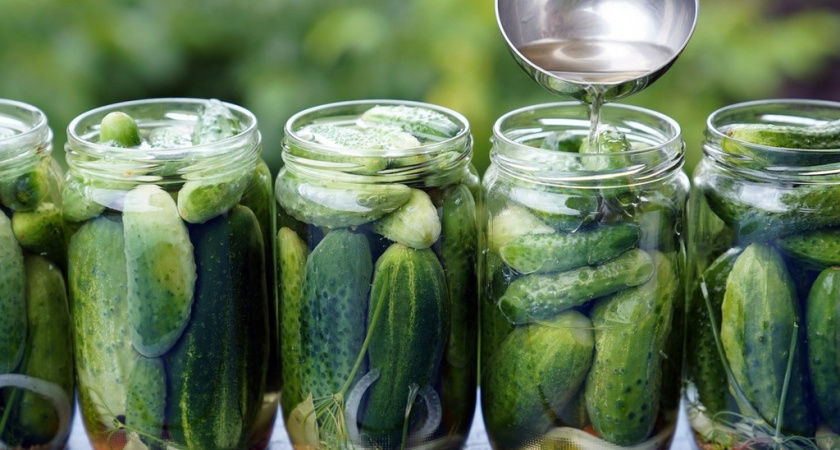 Огурцы на зиму закатываю только так. Не остается даже рассола. Все, кто пробует, умоляют дать рецепт