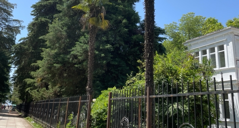 Деньги не успеваем по карманам рассовывать: вот что нам ответил таксист в Абхазии. Отзыв туриста