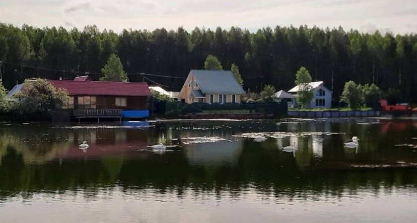 "Не о такой жизни в частном доме мы мечтали": 11 выводов, к которым приходишь слишком поздно