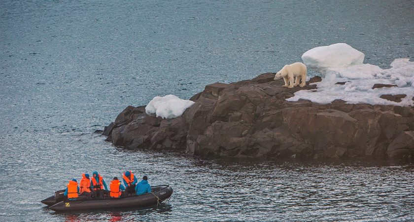 Лоток яиц по 1000 рублей, отсутствие дорог и жизнь без интернета. Как живут люди на краю России и делят быт с медведями