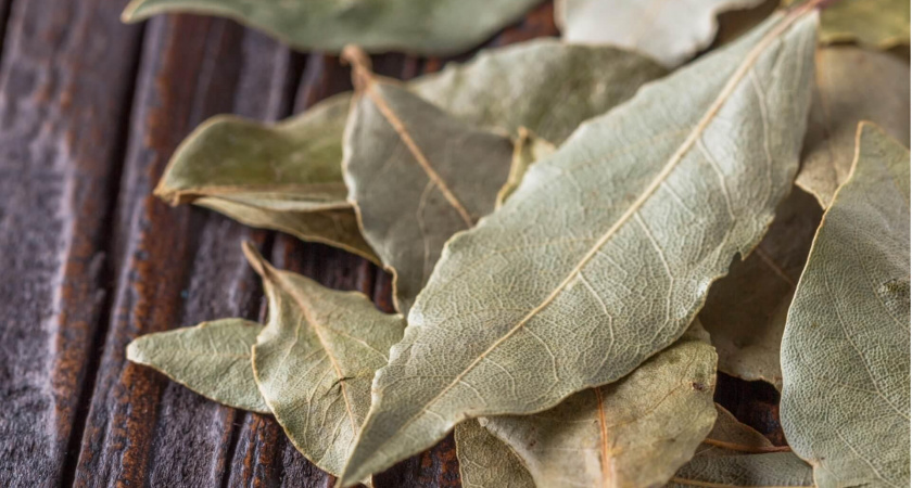 Почему нужно бросать лавровый лист в угол комнаты – старый, но работающий метод!