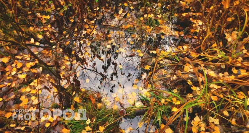 В Республике Коми 24 сентября ожидается прохладная погода с дождями