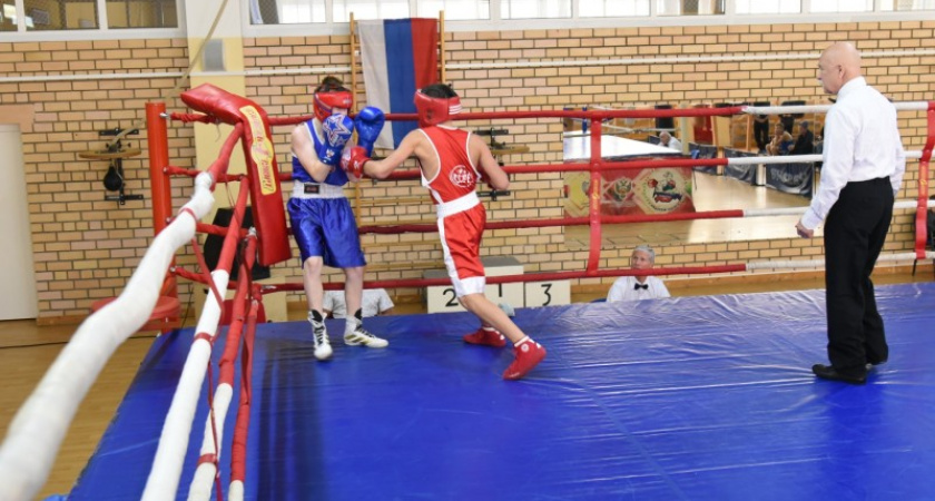 В Коми 90 боксеров сразятся за звание лучшего в регионе
