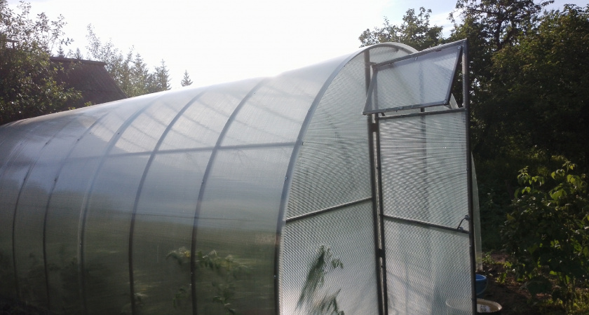 Осенний секрет богатого урожая: что я сажаю после картошки, чтобы земля отдыхала и богатела