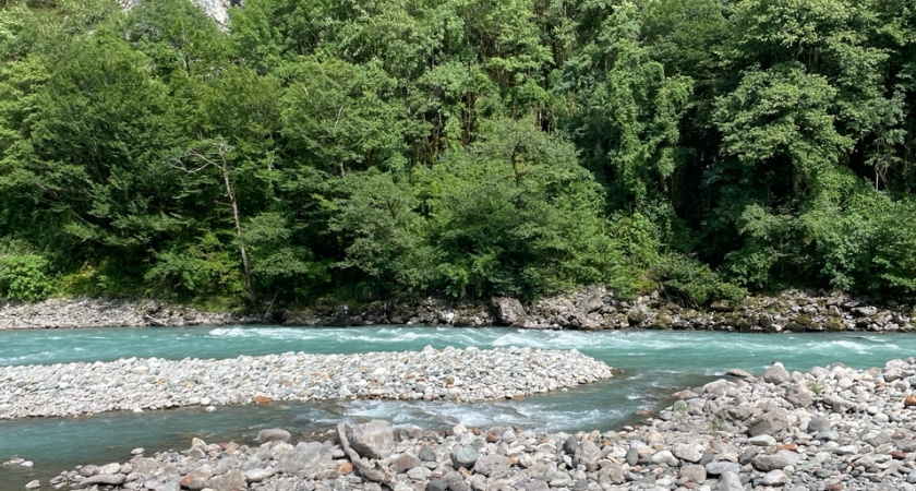 Курорт победившего обдиралова: море чистое, горы высокие, а вот с людьми всё сложно — 5 ложек дегтя в бочке абхазского меда