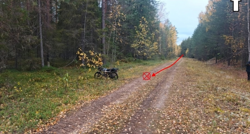 В Коми мотоциклист без прав и шлема получил серьезные травмы при опрокидывании