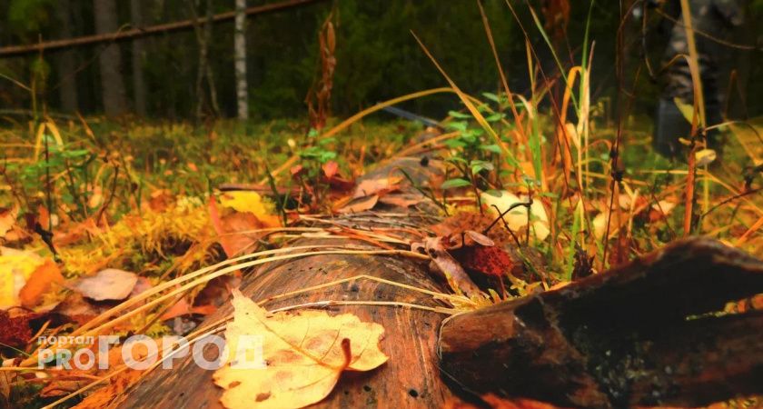 В Коми вернулись дожди: синоптики рассказали о погоде в регионе на 30 сентября 