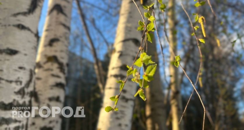 В Сыктывкаре летом солнце светило всего 732 часа