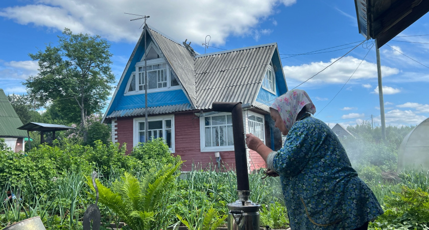 С первым снегом покупаю 3 л уксуса — и не мучаюсь, как городские: подсказал старичок из деревни — дома спокойно всю зиму