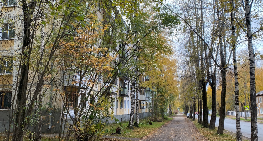 7 октября принесет в Коми осенние погодные качели: от -3 °C до +13 °C