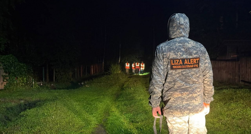 В Коми волонтеры "ЛизаАлерт" подвели итоги осенних операций