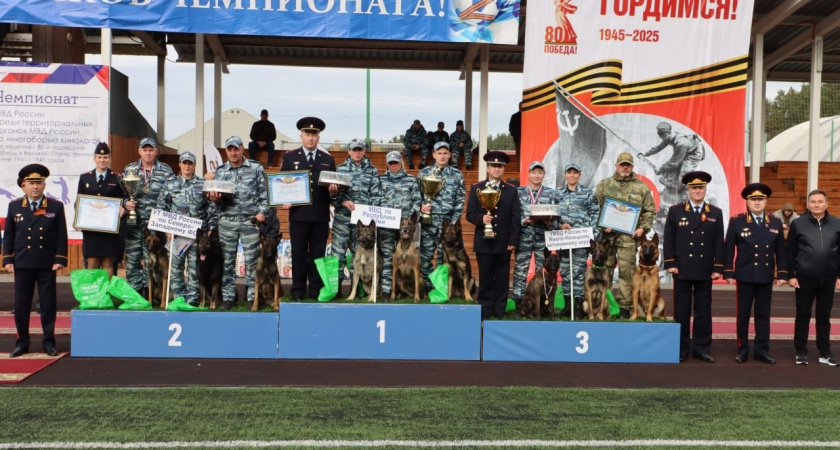 Кинологи МВД по Коми сохранили звание чемпионов на всероссийском турнире