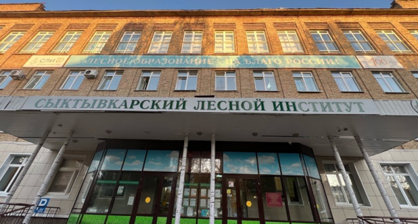 "Цифровой лес": в Коми обсуждают судьбу "зеленых легких" страны 