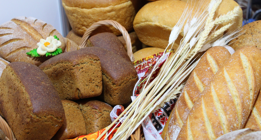 В Коми бизнесменов призывают присоединяется к социальной инициативе по сдерживанию цен