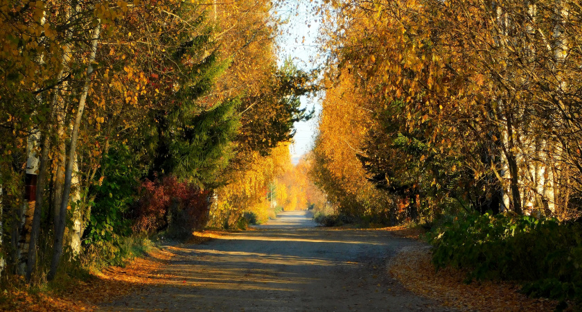 В Коми 10 октября подморозит до -1 градуса