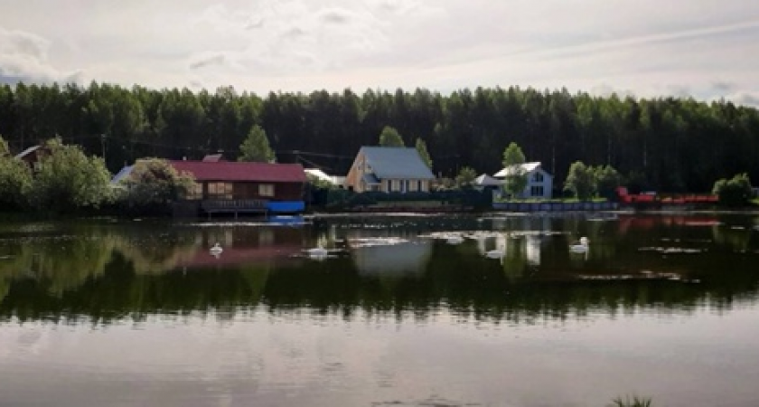 Рейтинг самых дорогих дач в Коми: арт-бетон, райские яблони и норвежские камины