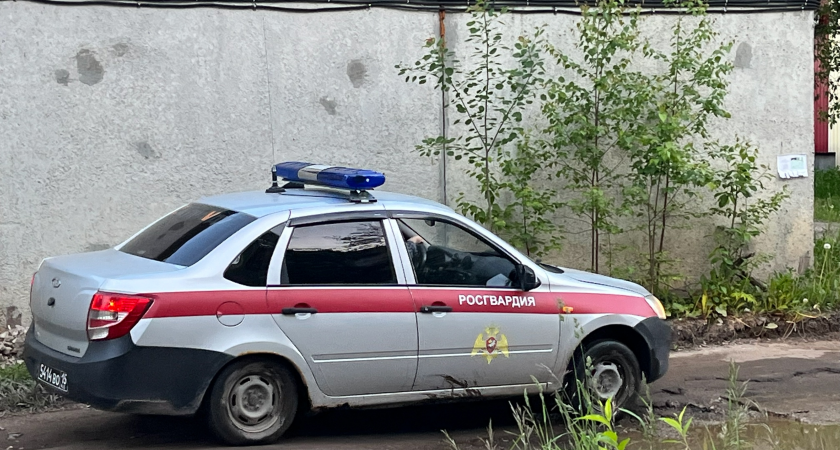 В Коми бар стал местом женской драки