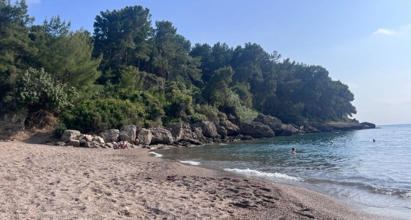 "Люди злые, змеи, грязь и невкусная еда": туристы делятся своим полным разочарованием от визита в Абхазию