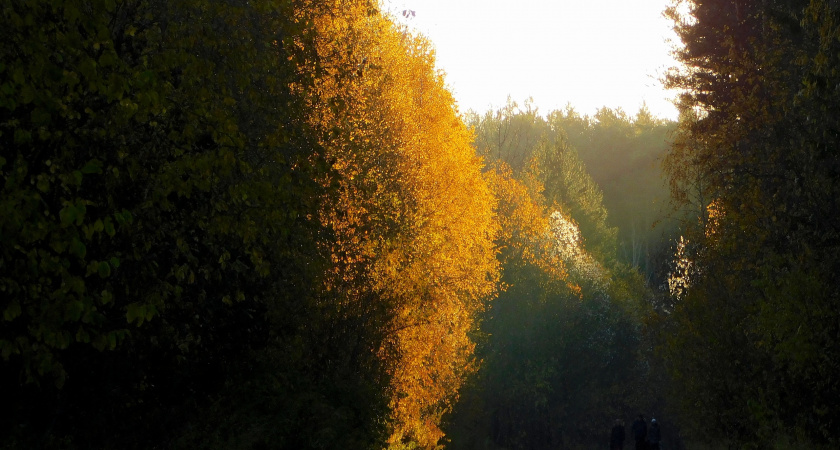 В Коми ожидается смешанная погода 14 октября: от осадков в Сыктывкаре до ясного неба в Воркуте