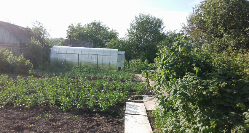 Нужно ли перекапывать огород осенью или это вредно: опытный садовод поставил точку