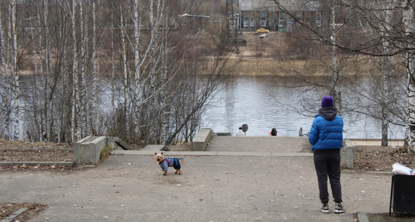 Лучше дома отсидимся: ветеринары назвали породы собак, с которыми не надо много гулять