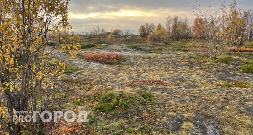 В Коми 15 октября потеплеет до +6 градусов 