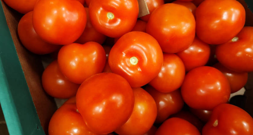 Крупнее томатов не видела: плоды по 1,5 кг каждый — 4 сорта, которые точно посажу в 2026 году