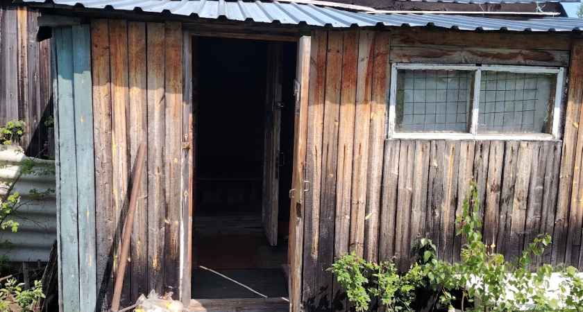 Что добавлять в дачный туалет, чтобы отходы растворялись и запаха не было: лайфхак