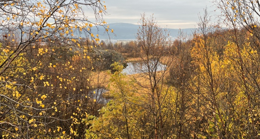 Коми готовится к переходу на зимнее время года