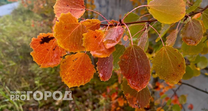 Коми накроет азиатский антициклон