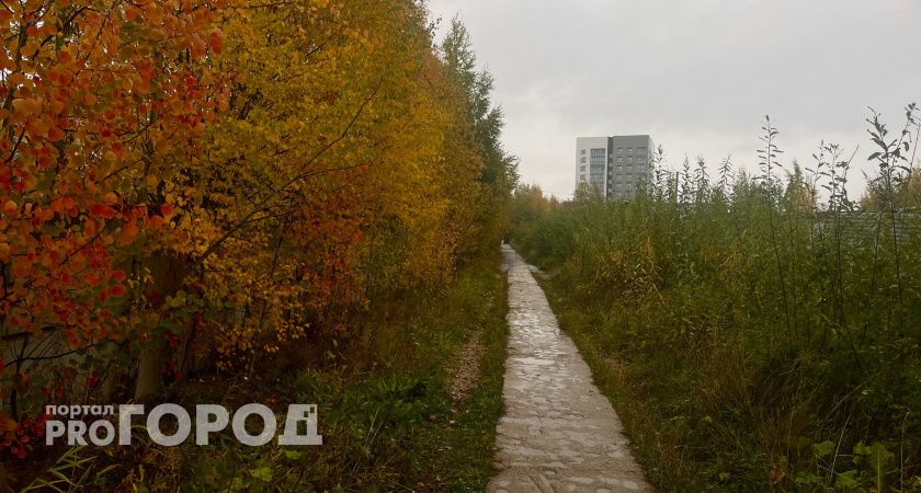 В Коми 22 октября ожидается небольшое потепление до +5 градусов 