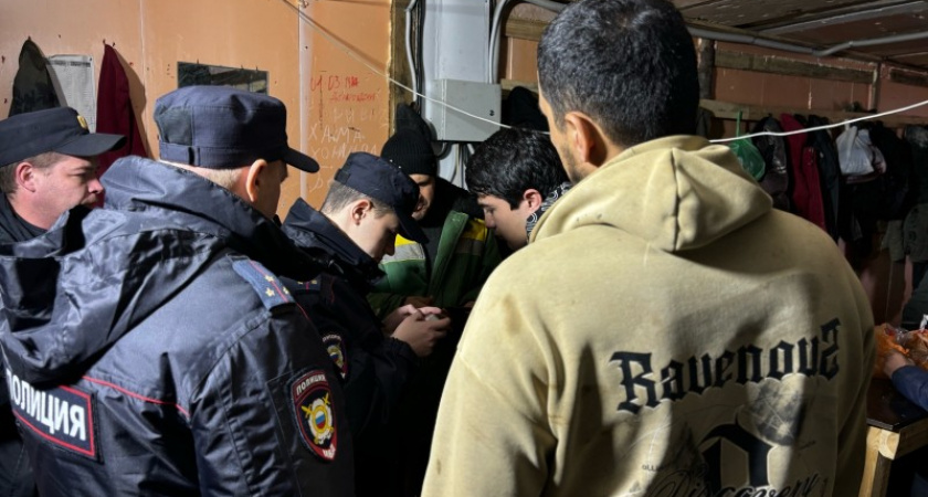 В Сыктывкаре полиция выявила подделку документов и случай взяточничества