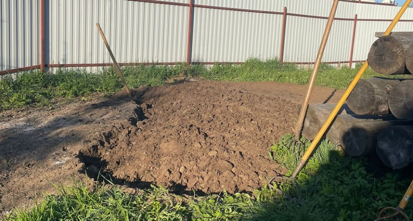 Готовимся к весенним посадкам уже осенью: чем раскислить землю осенью — 3 рабочих способа