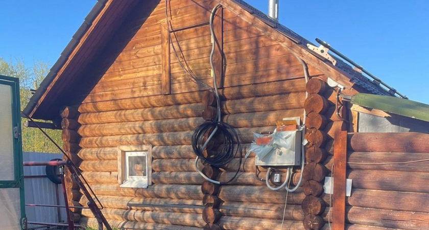 Ароматерапия против грызунов: как раз и навсегда избавиться от мышей на даче без яда и ловушек