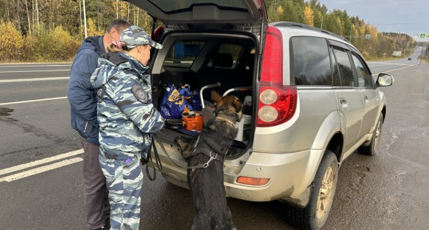 УФСБ Коми провела масштабную операцию по пресечению нелегальной перевозки оружия и наркотиков