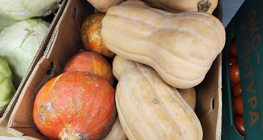 Жарю тыкву на сковороде до румяной корочки — на вкус как тайский манго: больше никогда не варю