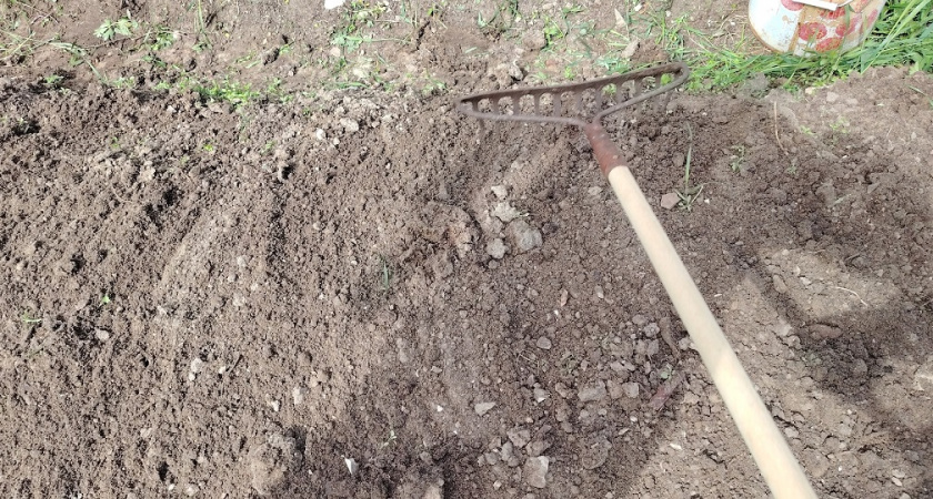 1 банка в компост: гниют даже ветки и сухая ботва - совет от бывалых дачников