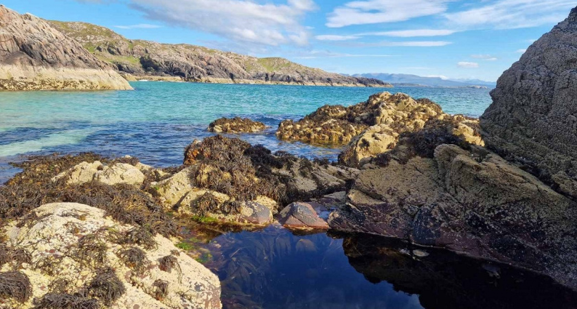 5 продуктов в Турции не едят, считая вредными, а мы уплетаем за обе щеки