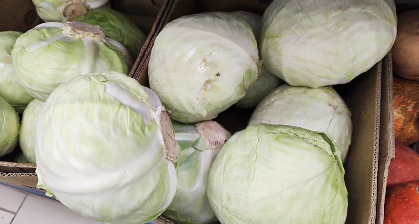 Капусту квашу в октябре 2025 только в эти дни и только так: делюсь семейным рецептом