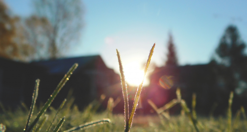 Республику Коми ждет переменчивая погода: от небольшого дождя до штормового ветра