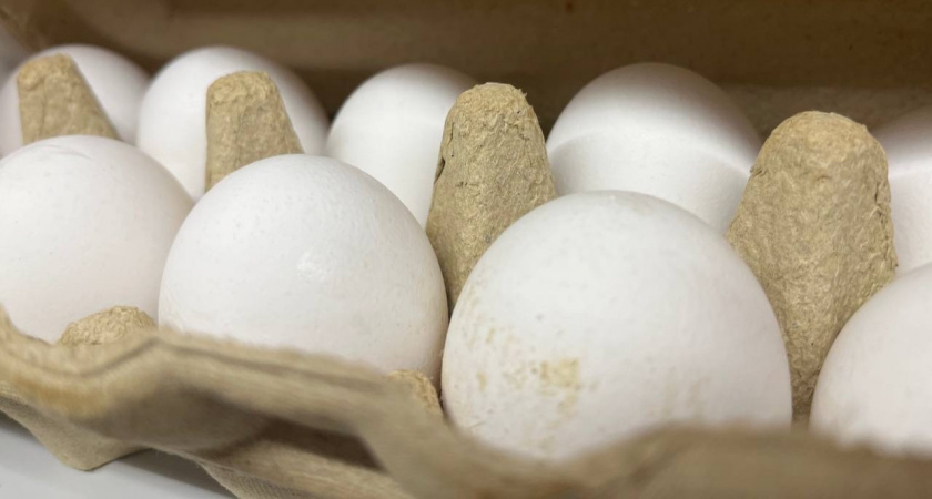 Конвейерные пустышки: в Роскачестве назвали марки яиц из "черного списка" - не берите на завтрак