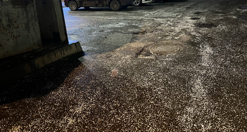 Сыктывкарцы рассыпали в одном из дворов пенопласт