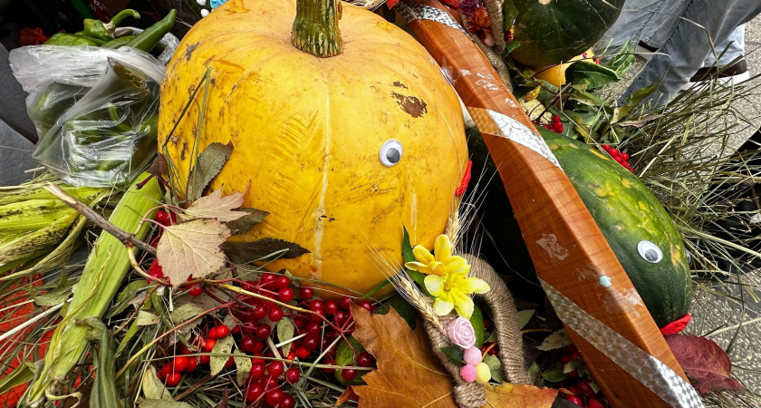 Фермерский рай на Стефановской: сыктывкарцев приглашают на "Осеннюю пору" с камчатским уловом