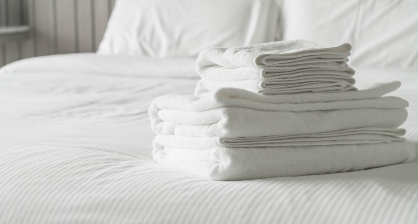 Сосед рассказал, как быстро избавиться от клопов и причины, по которым они забегают к вам в дом