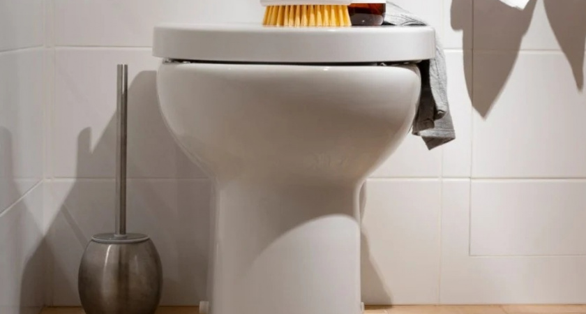 Японцы садятся на унитаз лицом вперед — и вот почему: причина поражает — но логика в этом есть