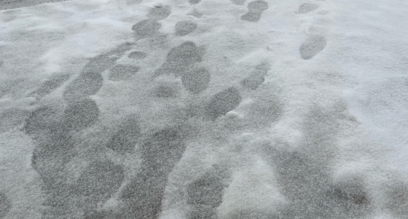 Синоптики рассказали о погоде в Коми на 4 ноября