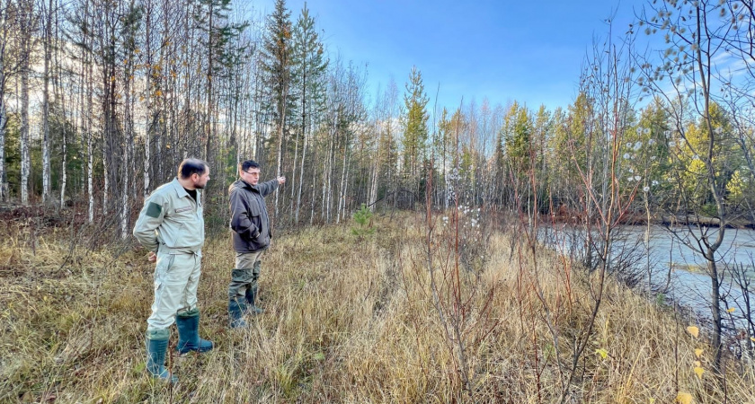 Минприроды Коми обнаружила серьезные нарушения в работе некоторых нефтяных компаний