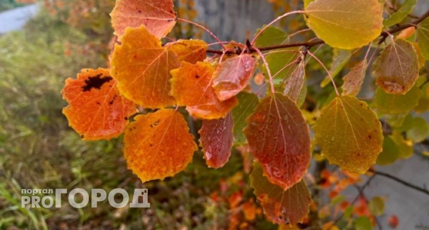 В Сыктывкаре зафиксирован новый температурный максимум