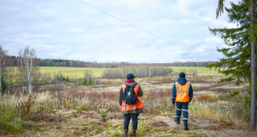 В Коми волонтеры нашли 26 пропавших людей за сентябрь