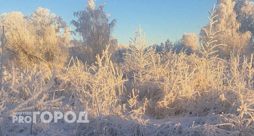 В Коми 12 ноября температура упадет почти до -30 градусов